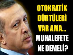 'Erdoğan'ın otokratik dürtüleri var' 