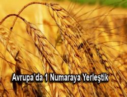 Avrupa'da 1 numaraya yerleştik 