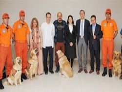 Hastane korkusuna köpekli tedavi