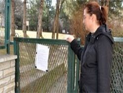 Koca ormanı paylaşamadılar