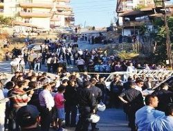 Kamyon kuş evine girdi