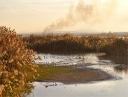 Mogan Gölü'nde ‘atık' yarımadası