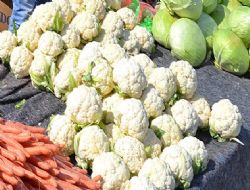 Zam şampiyonu karnabahar oldu