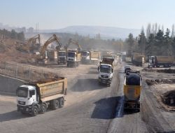ODTÜ ağaçları meclise taşındı