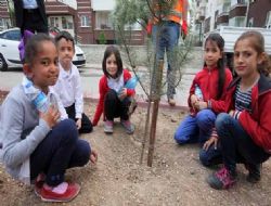 301 cana 301 fidan