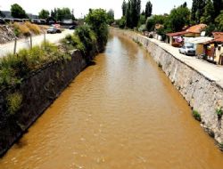 Ankara Çayı'nda oksijen tükendi