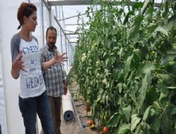 Proje çiftçinin gelirini katladı