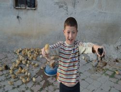 20 bin civcivi köylüye dağıttı