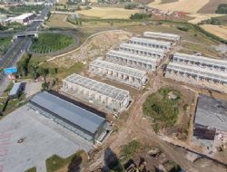 Oto galeriler taşınacak