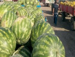 Karpuz 40, kavun 60 kuruş