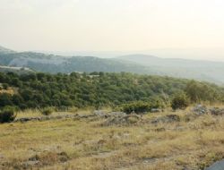 Ormana plan