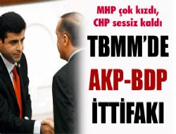 'Anadilde propaganda'ya onay