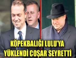 Köpekbalığı, Lulu'ya yüklendi dil bilmeyen Coşar seyretti 
