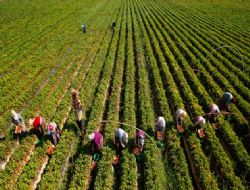 Ziraatin 'Başkent'i olmalıyız