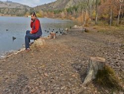 Eymir'de yapılan kesimin belgesi