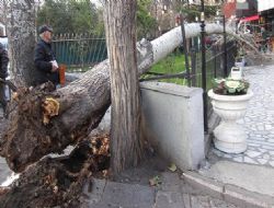 Kuğulu'da kaza ‘geliyorum' demiş