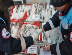 Küçük balığa büyük ceza