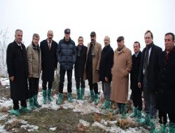 Bala'ya 10 bin fidan