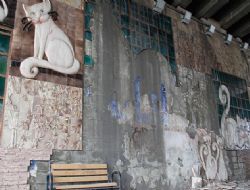 Ankara kedisi ayaklar altında