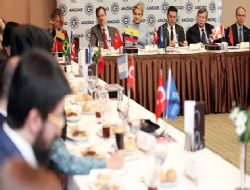 Semiz: Türkiye önemli bir aktör olacak