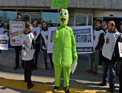 Kaplumbağalı ulaşım eylemi