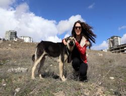 Hayvanseverleri kovalıyorlar