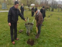 Yaşlılardan fidan şenliği