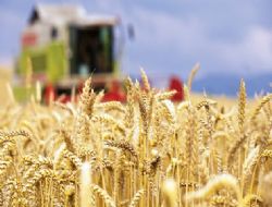 Tarımsal hasıla 4 milyarı aştı