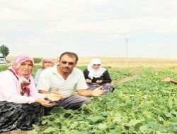 Kaymakam çiftçiyi güldürdü