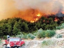 Yangınlardan insan sorumlu