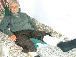 Ayı saldırdı
