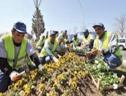 Başkent çiçek açtı