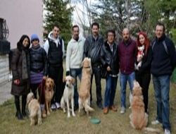 Doktor köpekler iş başında