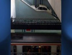 2012'nin önemli kareleri