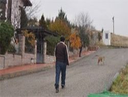 Mutlukent'te köpek korkusu