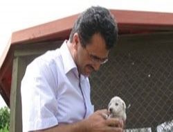 60 yavru köpeği ölüme terk ettiler
