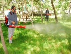 Parkları ilaçlamak anlamsız!