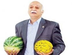Üretici tedirgin verim azalıyor