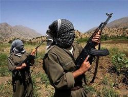 Asker'den PKK'ya ağır darbe