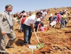2 milyon fidan dikilecek