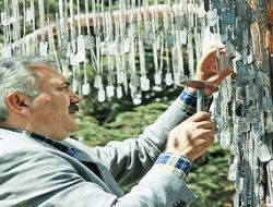Anıt ağaçta yaşayacaklar