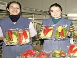 25 milyon ton sebze üretimi heba oluyor