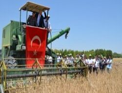 İhtiyacın yüzde 16'sı