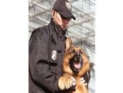 Özel güvenlik standart istiyor