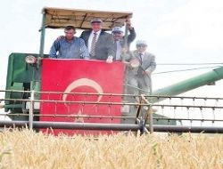 İlk hasat bayramı