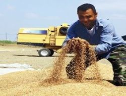 Sistem arızası çiftçiyi mağdur etti