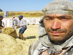 Mevsimlik işçilere tarım aracı kartı 