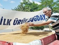 Polatlı'da ilk buğday satıldı