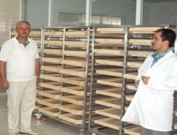 9 ayda 500 işyerine denetim