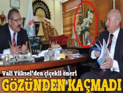 ‘Bir orkide, iki kasa domatese eşit'